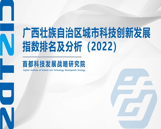 白虎抽插流水【成果发布】广西壮族自治区城市科技创新发展指数排名及分析（2022）